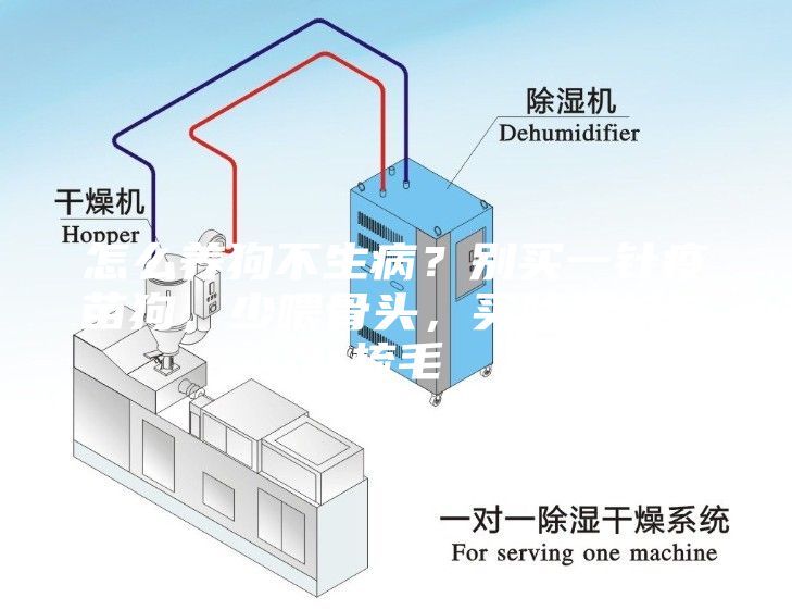 怎么养狗不生病？别买一针疫苗狗，少喂骨头，买除湿机多梳毛