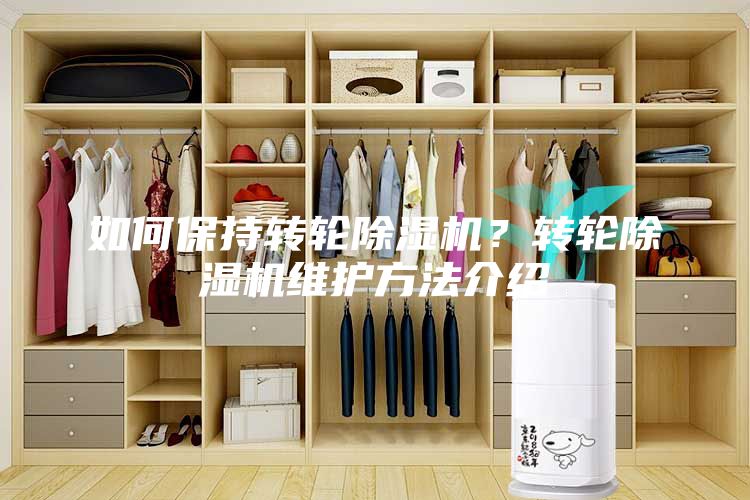 如何保持转轮除湿机？转轮除湿机维护方法介绍