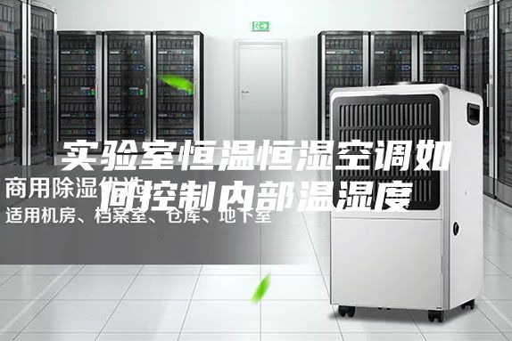 实验室恒温恒湿空调如何控制内部温湿度