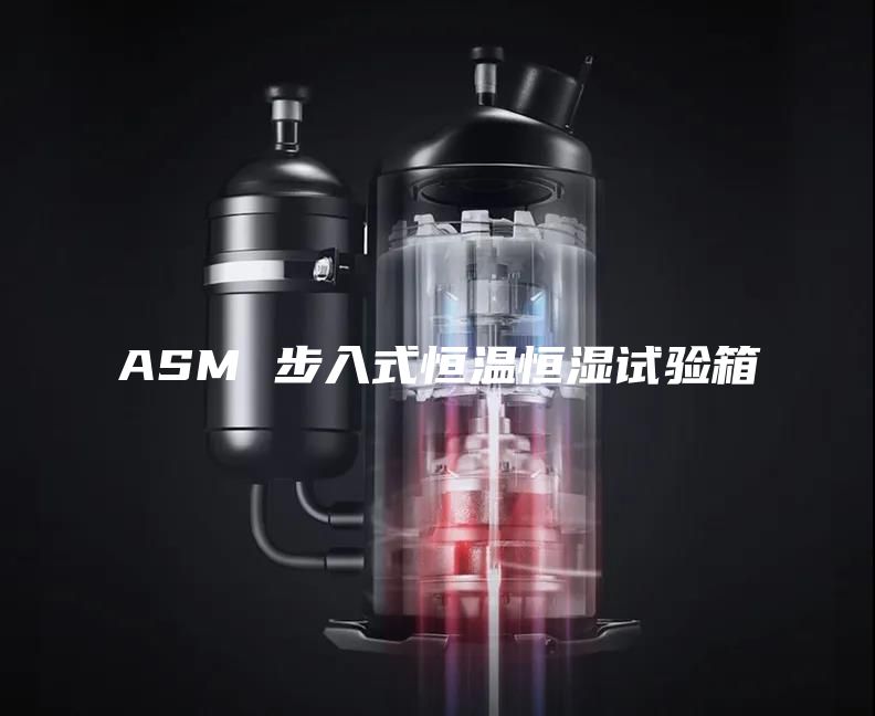 ASM 步入式恒温恒湿试验箱