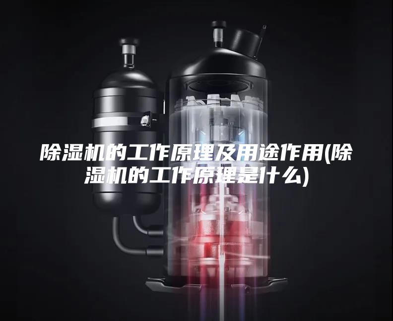 除湿机的工作原理及用途作用(除湿机的工作原理是什么)