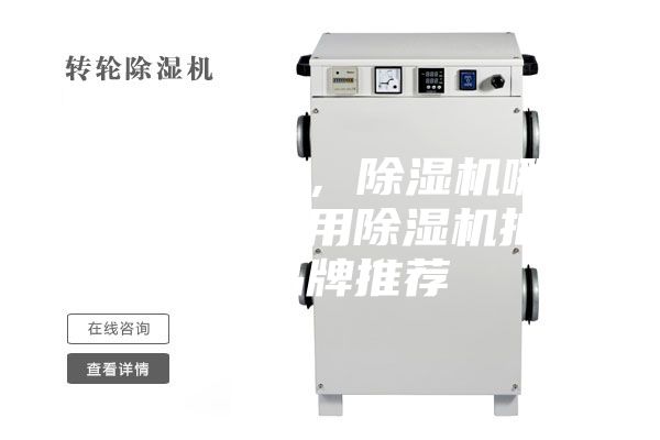 除湿机推荐，除湿机哪个牌子好, 家用除湿机抽湿机品牌推荐