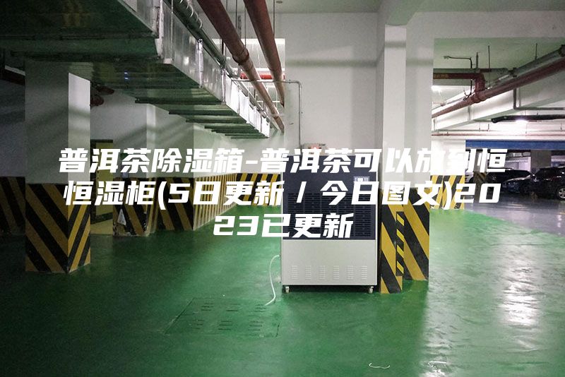普洱茶除湿箱-普洱茶可以放到恒恒湿柜(5日更新／今日图文)2023已更新