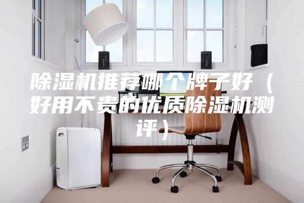 除湿机推荐哪个牌子好（好用不贵的优质除湿机测评）