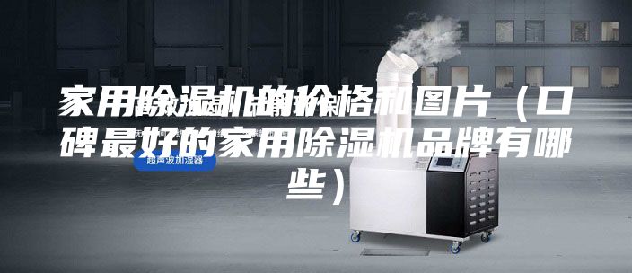 家用除湿机的价格和图片（口碑最好的家用除湿机品牌有哪些）