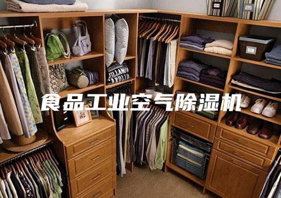 食品工业空气除湿机