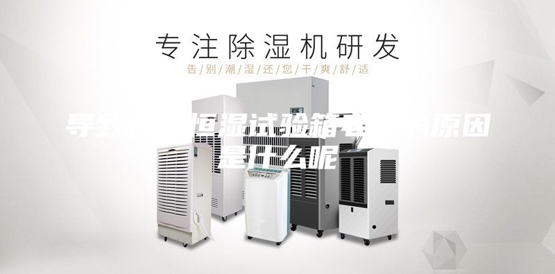 导致恒温恒湿试验箱老化的原因是什么呢