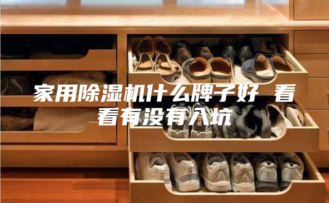家用除湿机什么牌子好 看看有没有入坑