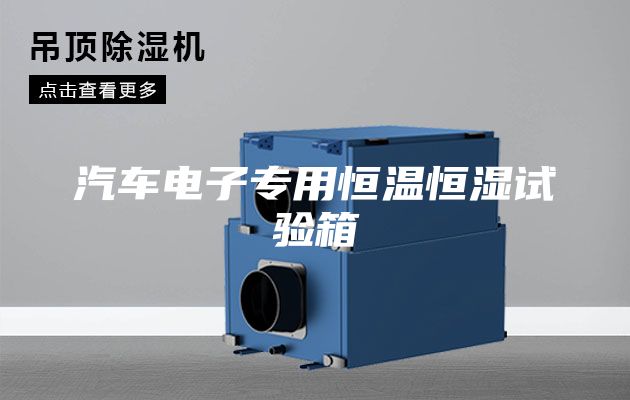 汽车电子专用恒温恒湿试验箱