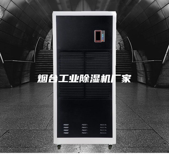 烟台工业除湿机厂家
