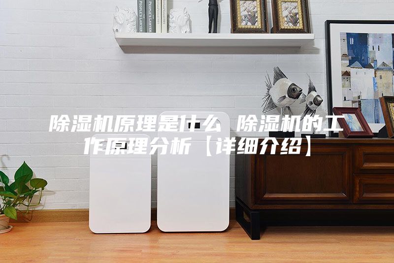 除湿机原理是什么 除湿机的工作原理分析【详细介绍】