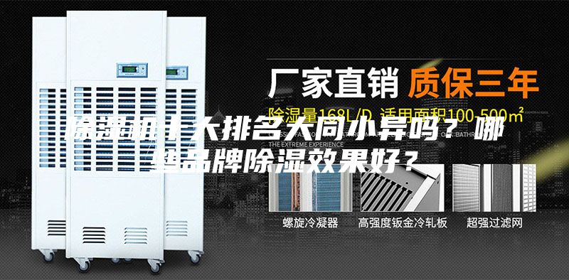 除湿机十大排名大同小异吗？哪些品牌除湿效果好？