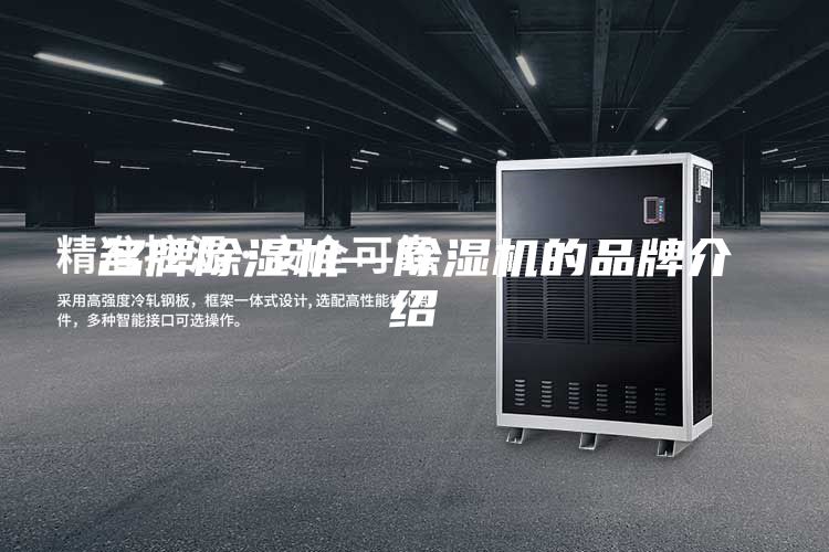 名牌除湿机—除湿机的品牌介绍