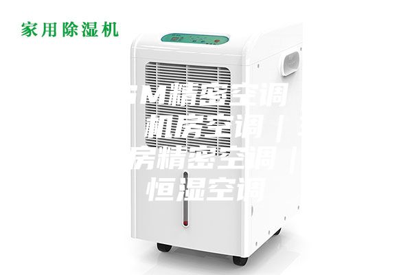 30ASM精密空调｜30ASM 机房空调｜30ASM机房精密空调｜恒温恒湿空调