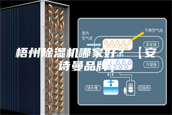 梧州除湿机哪家好？【安诗曼品牌】