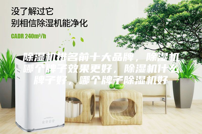 除湿机排名前十大品牌，除湿机哪个牌子效果更好，除湿机什么牌子好，哪个牌子除湿机好