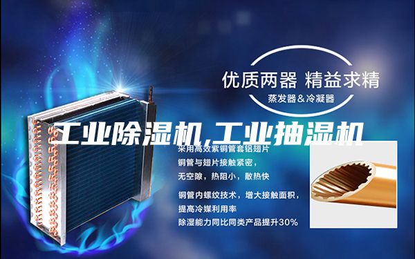 工业除湿机,工业抽湿机