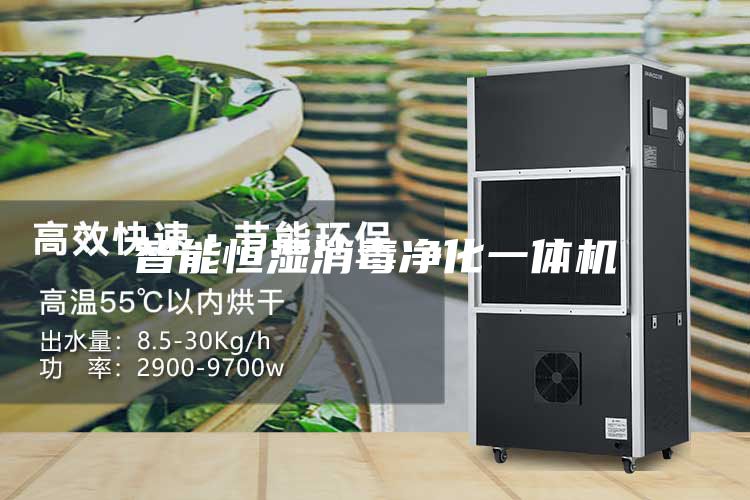智能恒湿消毒净化一体机