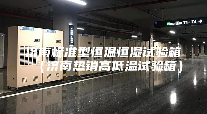 济南标准型恒温恒湿试验箱（济南热销高低温试验箱）