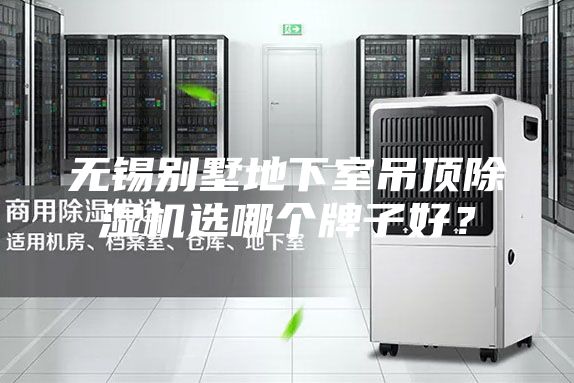 无锡别墅地下室吊顶除湿机选哪个牌子好？