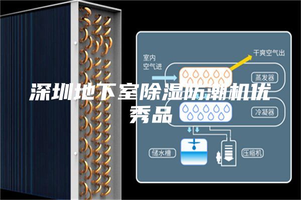 深圳地下室除湿防潮机优秀品