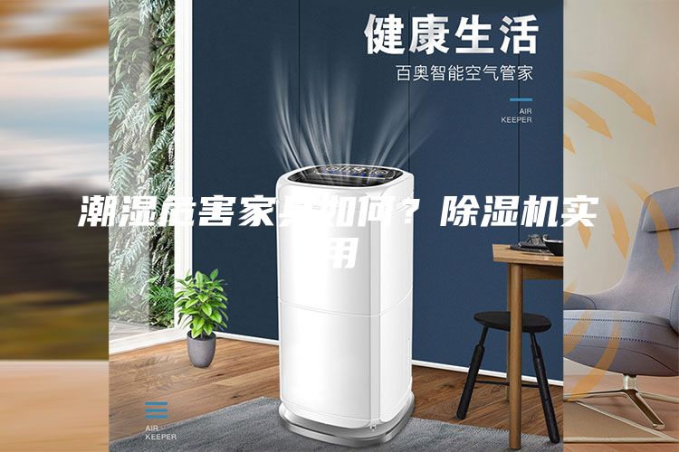 潮湿危害家具如何？除湿机实用