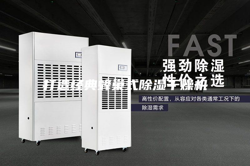 打造经典蜂巢式除湿干燥机