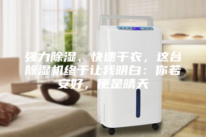 强力除湿、快速干衣，这台除湿机终于让我明白：你若安好，便是晴天