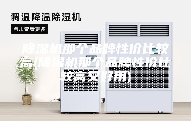 除湿机那个品牌性价比较高(除湿机那个品牌性价比较高又好用)