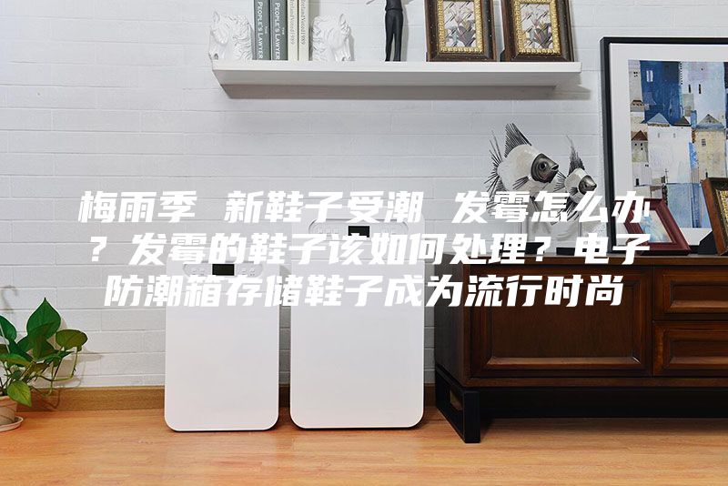 梅雨季 新鞋子受潮 发霉怎么办？发霉的鞋子该如何处理？电子防潮箱存储鞋子成为流行时尚