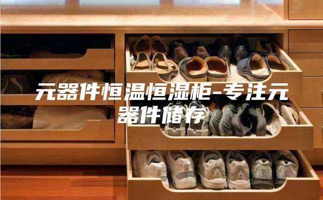 元器件恒温恒湿柜-专注元器件储存