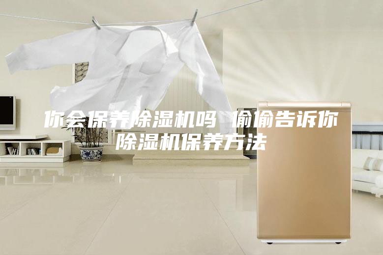 你会保养除湿机吗 偷偷告诉你除湿机保养方法