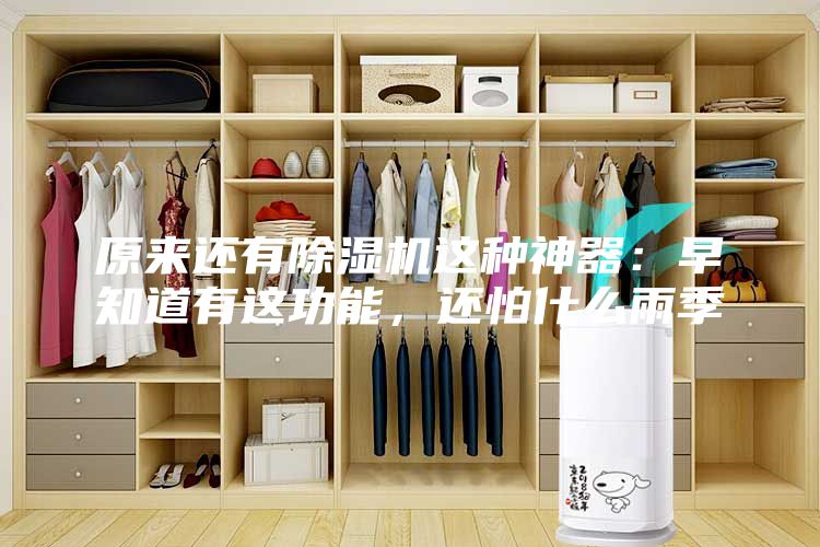 原来还有除湿机这种神器：早知道有这功能，还怕什么雨季