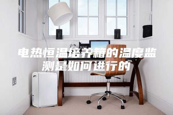 电热恒温培养箱的温度监测是如何进行的