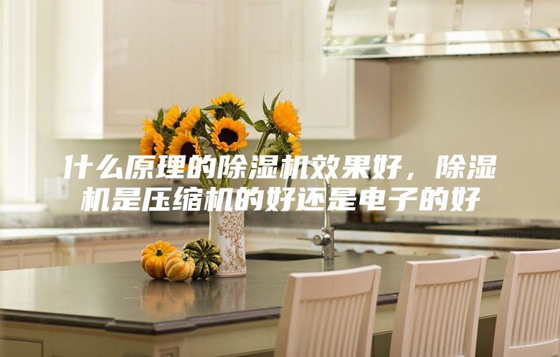 什么原理的除湿机效果好，除湿机是压缩机的好还是电子的好