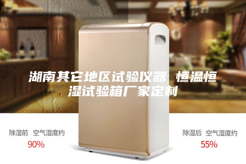 湖南其它地区试验仪器 恒温恒湿试验箱厂家定制