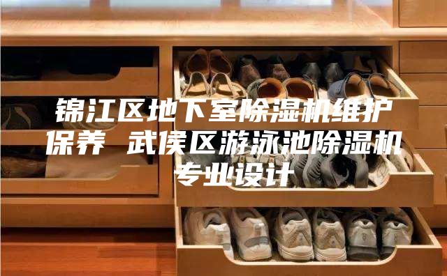 锦江区地下室除湿机维护保养 武侯区游泳池除湿机 专业设计