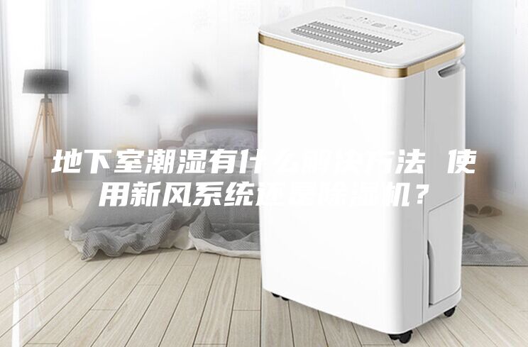地下室潮湿有什么解决方法 使用新风系统还是除湿机？