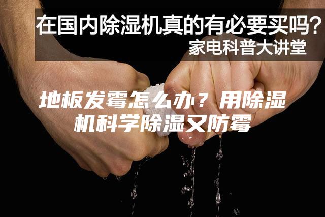 地板发霉怎么办？用除湿机科学除湿又防霉