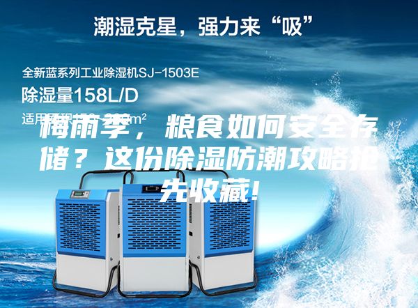 梅雨季，粮食如何安全存储？这份除湿防潮攻略抢先收藏!