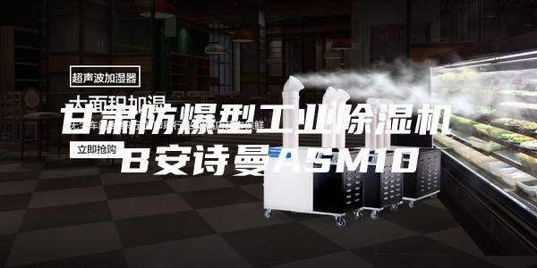 甘肃防爆型工业除湿机 B安诗曼ASM10