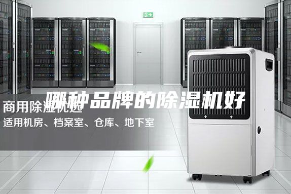 哪种品牌的除湿机好