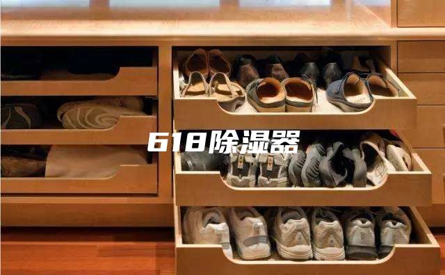 618除湿器