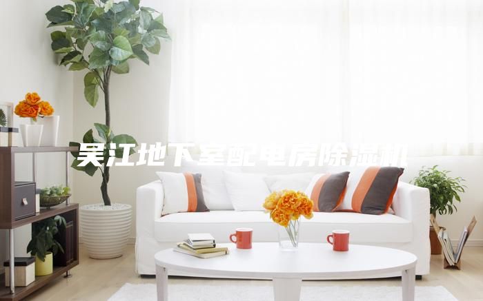 吴江地下室配电房除湿机