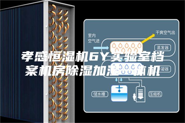 孝感恒湿机6Y实验室档案机房除湿加湿一体机
