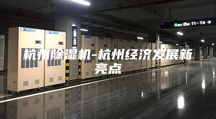 杭州除湿机-杭州经济发展新亮点