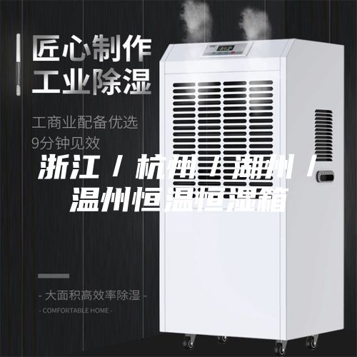 浙江／杭州／湖州／温州恒温恒湿箱