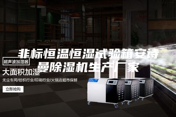 非标恒温恒湿试验箱安诗曼除湿机生产厂家