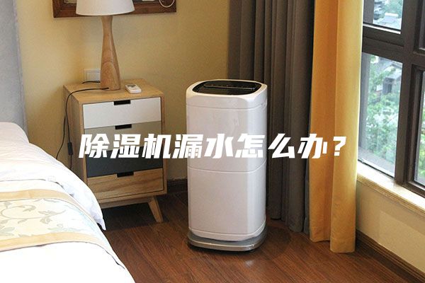 除湿机漏水怎么办？
