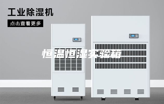 恒温恒湿实验箱